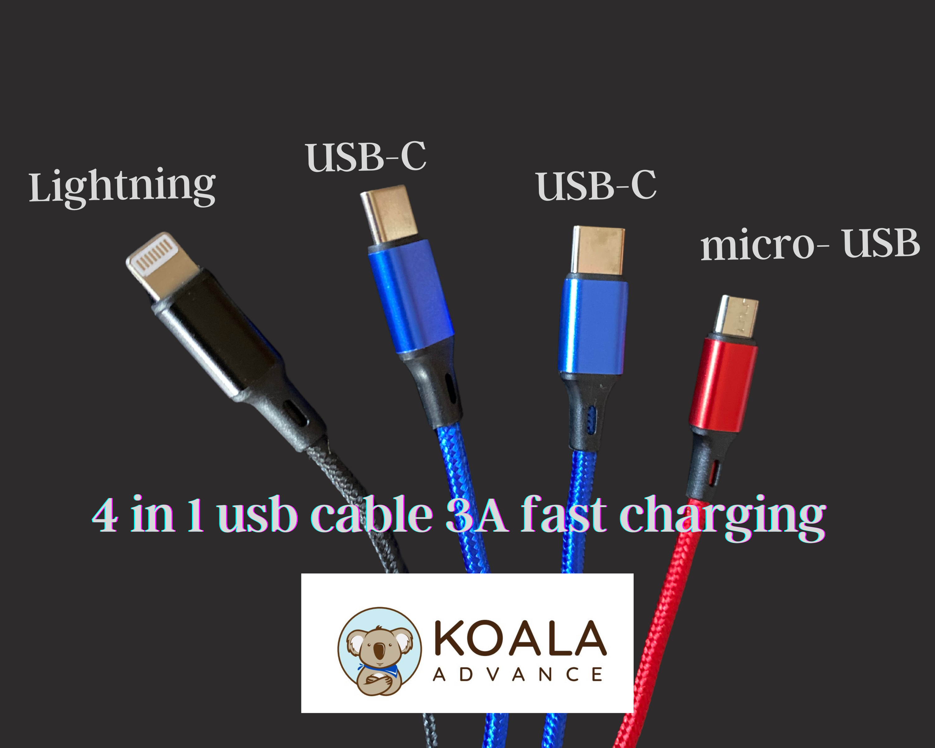 4 in 1 Fast Charger